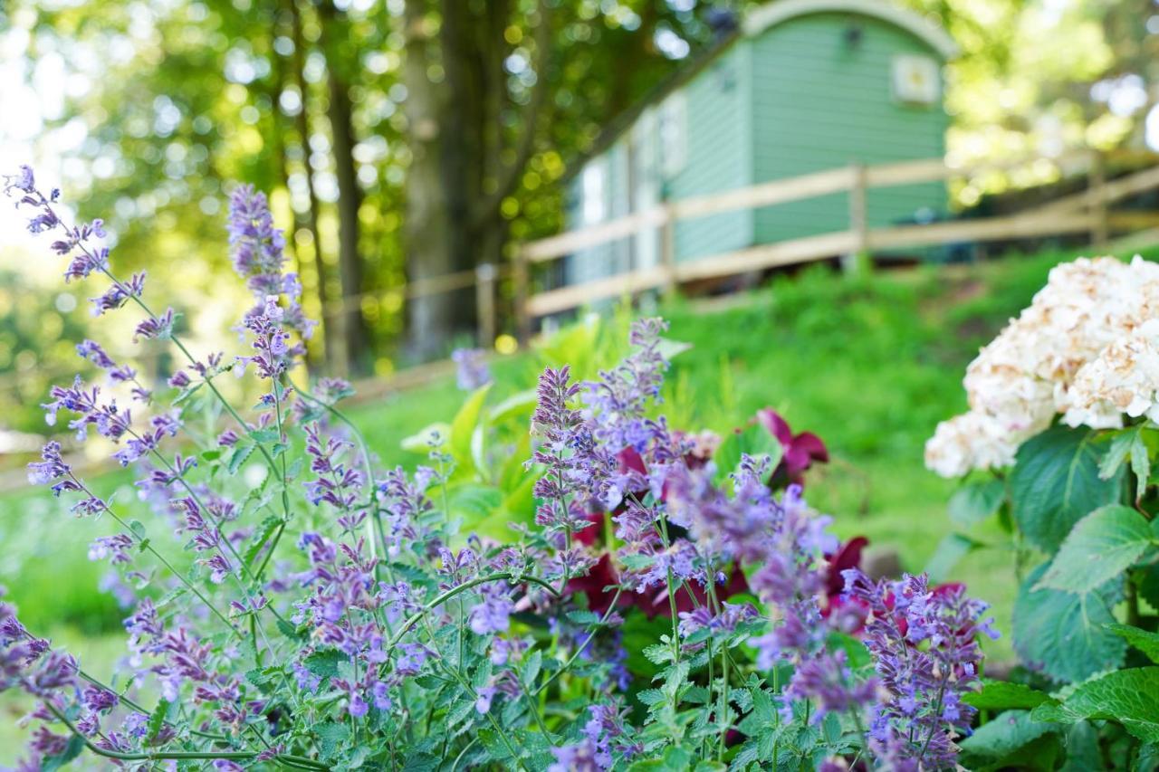 Hostal Lavender Retreat With Private Hot Tub Upper Hulme Exterior foto